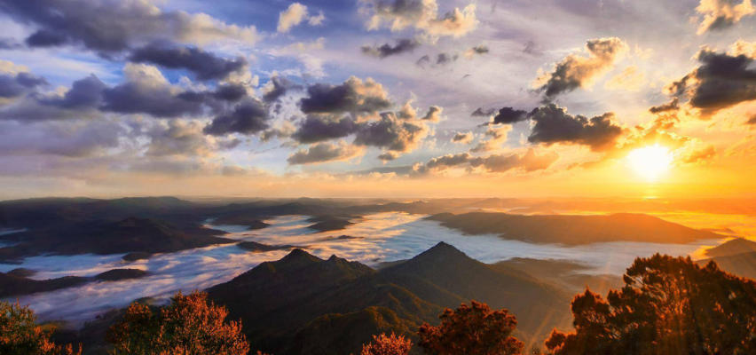 上海晟道科技发展有限公司轮播图1