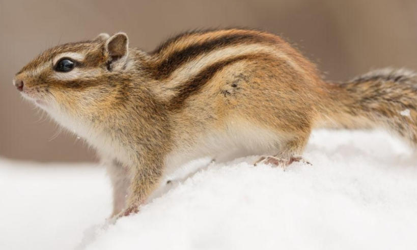 上海晟道科技发展有限公司轮播图5