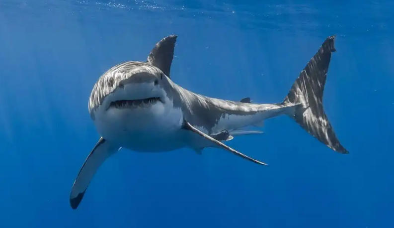 上海晟道科技发展有限公司轮播图3