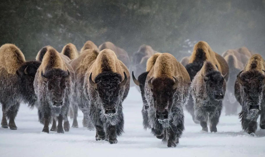 上海晟道科技发展有限公司轮播图4