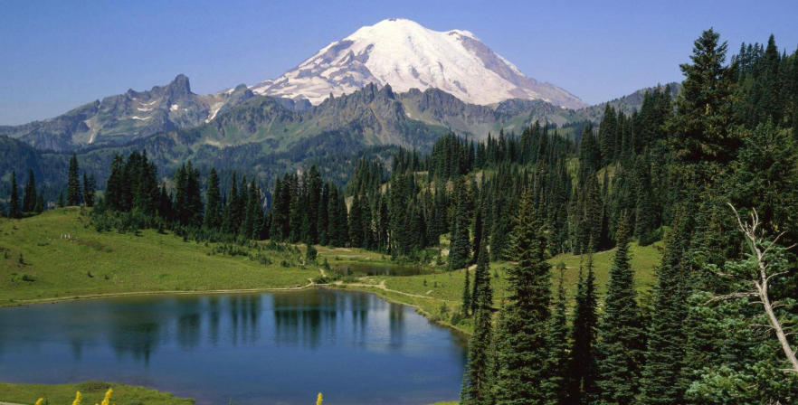 上海晟道科技发展有限公司轮播图2